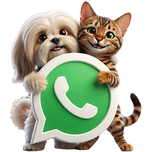 angel-clinica-veterinaria-whatsapp